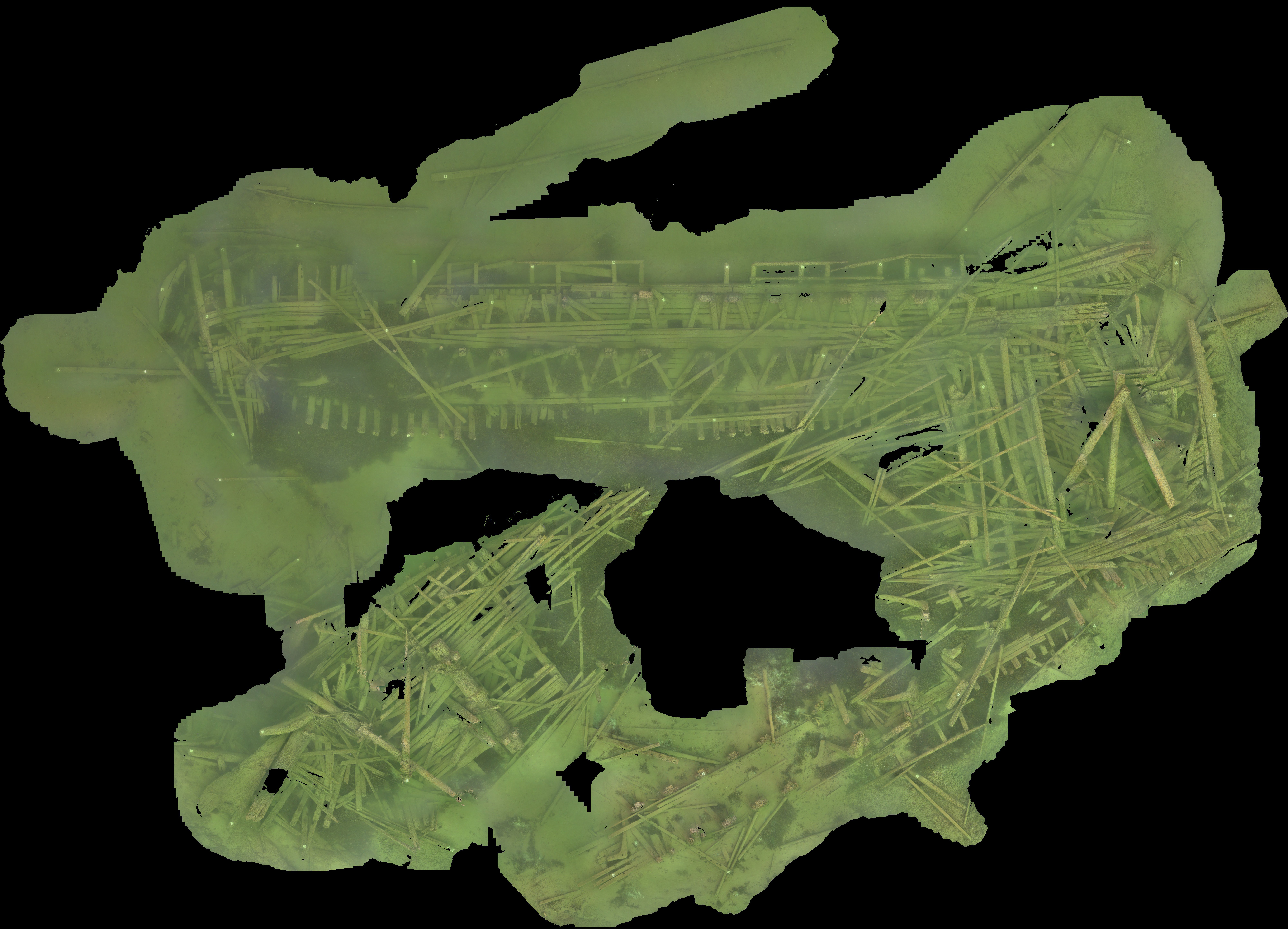 Orthoimage produced from the reconstructed model